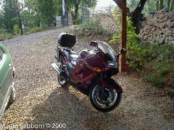 The mighty ZZR-1100