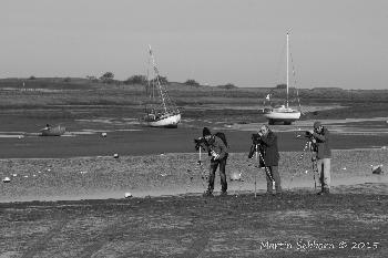Brancaster Staithe - What are they watching?