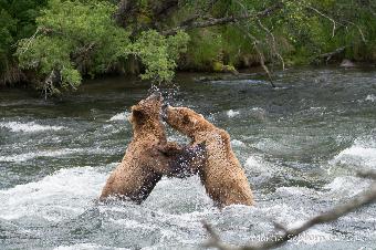 Young male and female playing