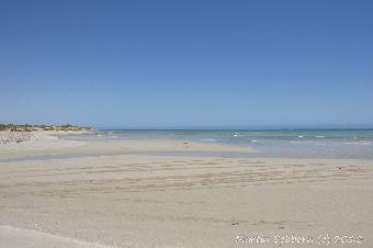 A beautiful, empty beach!