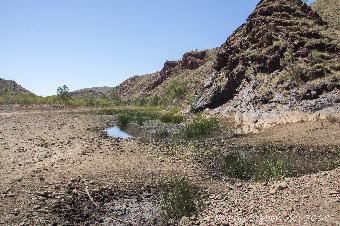 Water hole on the station