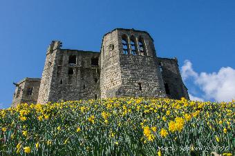 Warkworth Castle