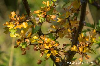 Autumn already?