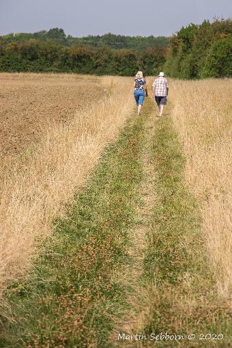 The Walkers
