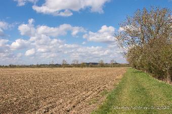 Toft Fields